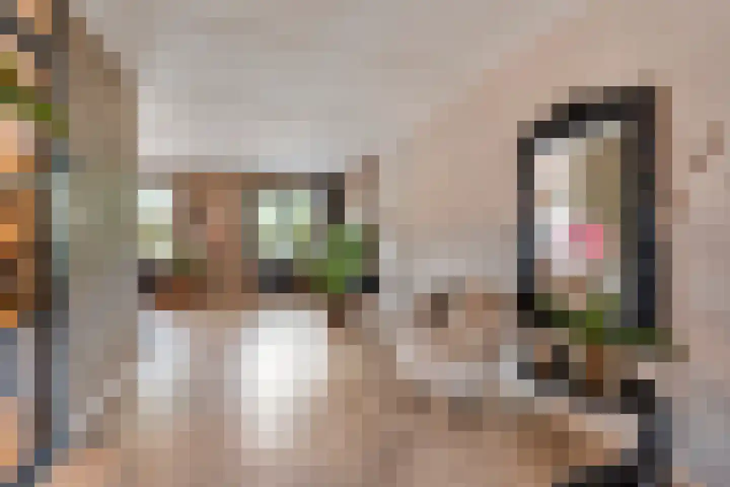 Boskraai 44 Emmen thumbnail 10
