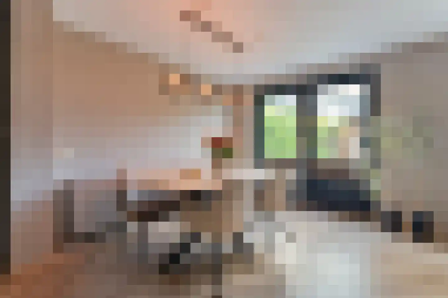 Boskraai 44 Emmen thumbnail 17