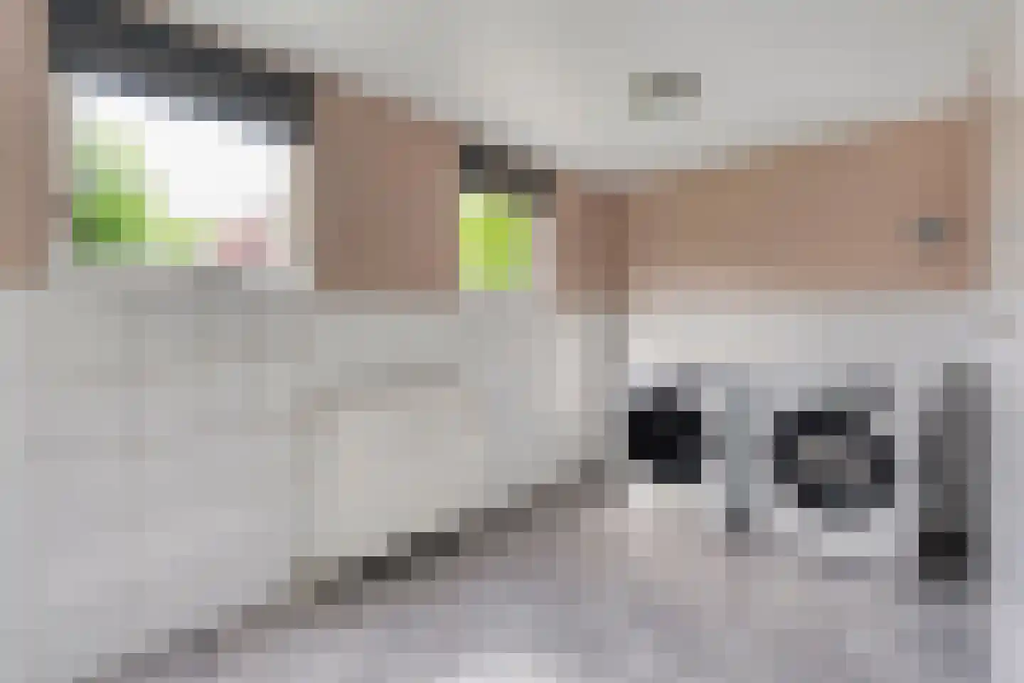 Boskraai 44 Emmen thumbnail 34