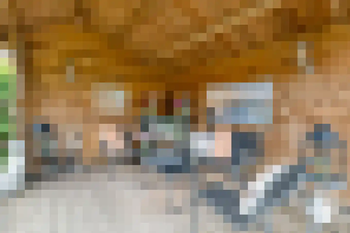 Boskraai 44 Emmen thumbnail 36