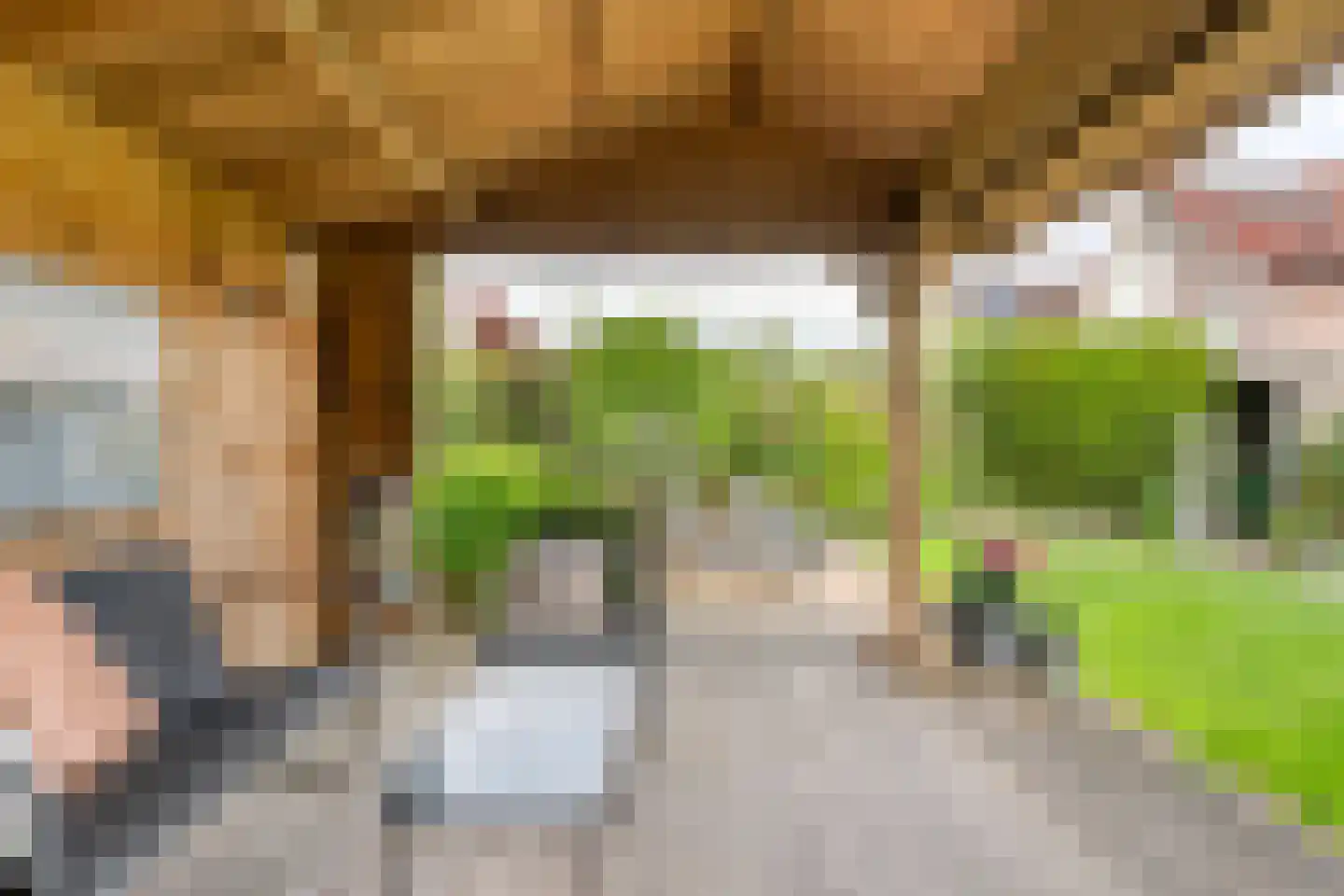 Boskraai 44 Emmen thumbnail 37