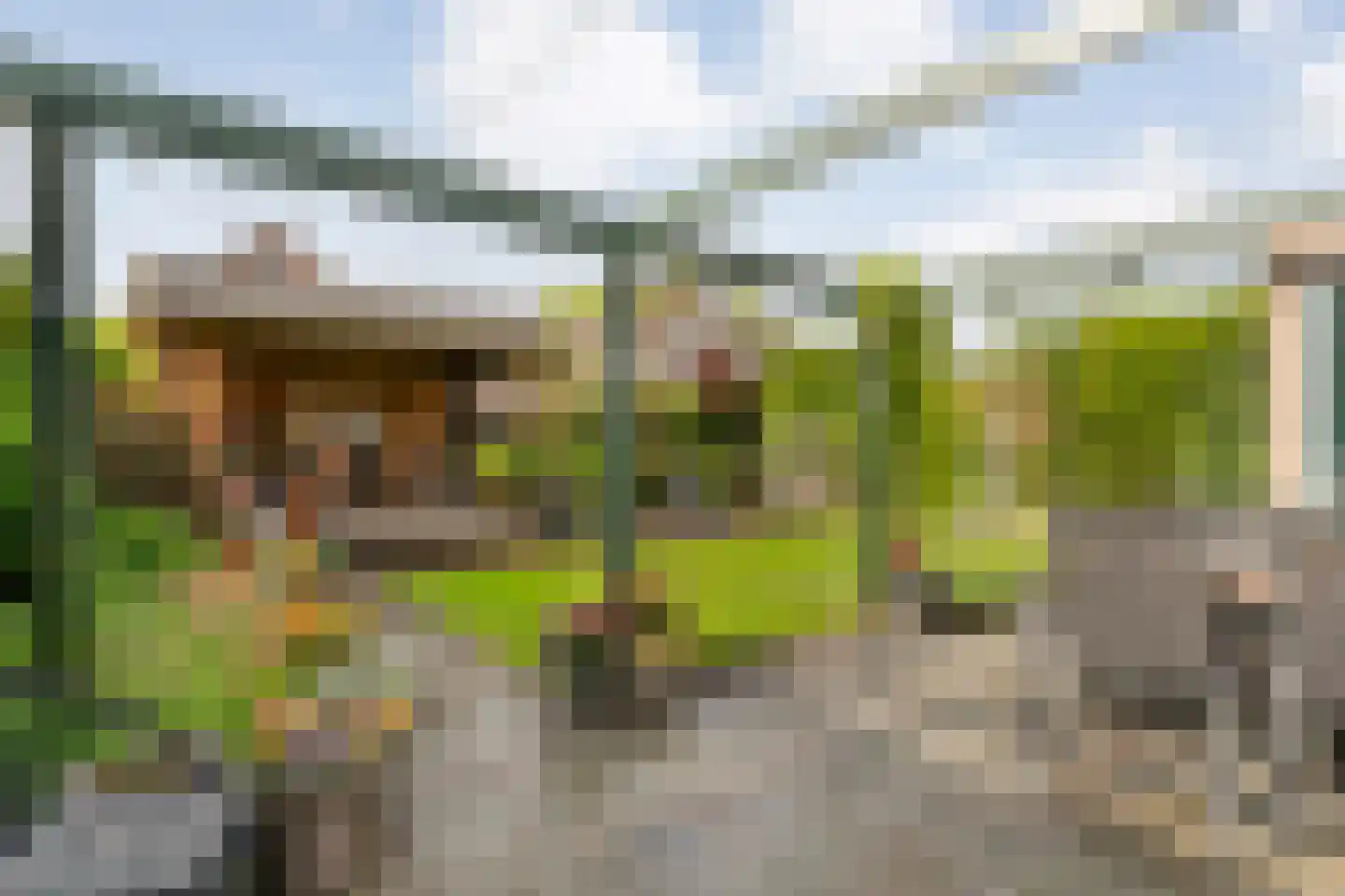 Boskraai 44 Emmen thumbnail 39