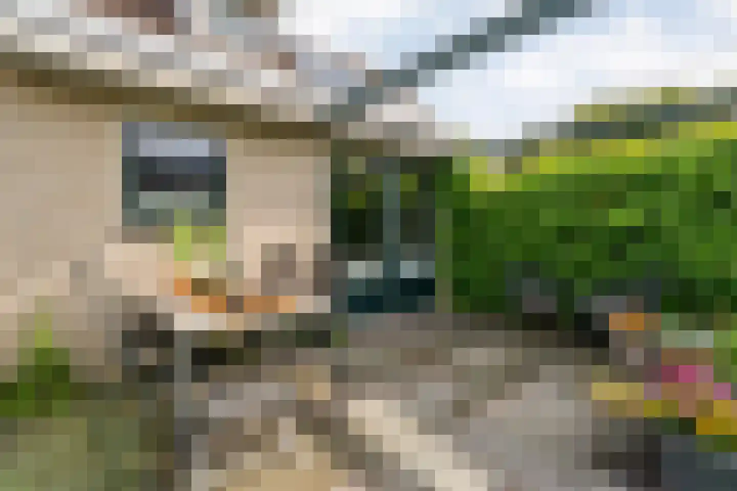 Boskraai 44 Emmen thumbnail 40