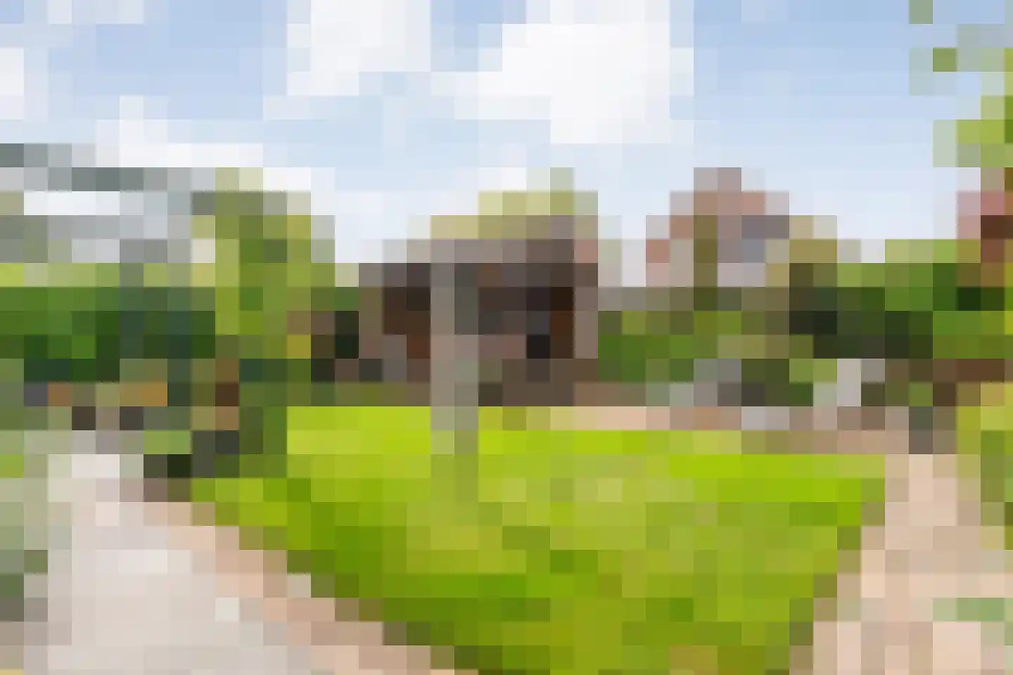 Boskraai 44 Emmen thumbnail 41