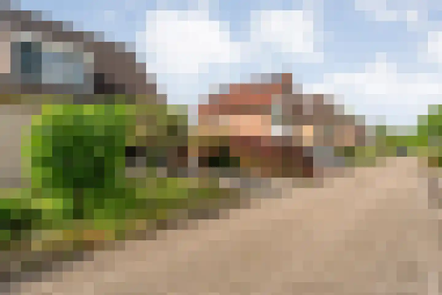 Boskraai 44 Emmen thumbnail 5