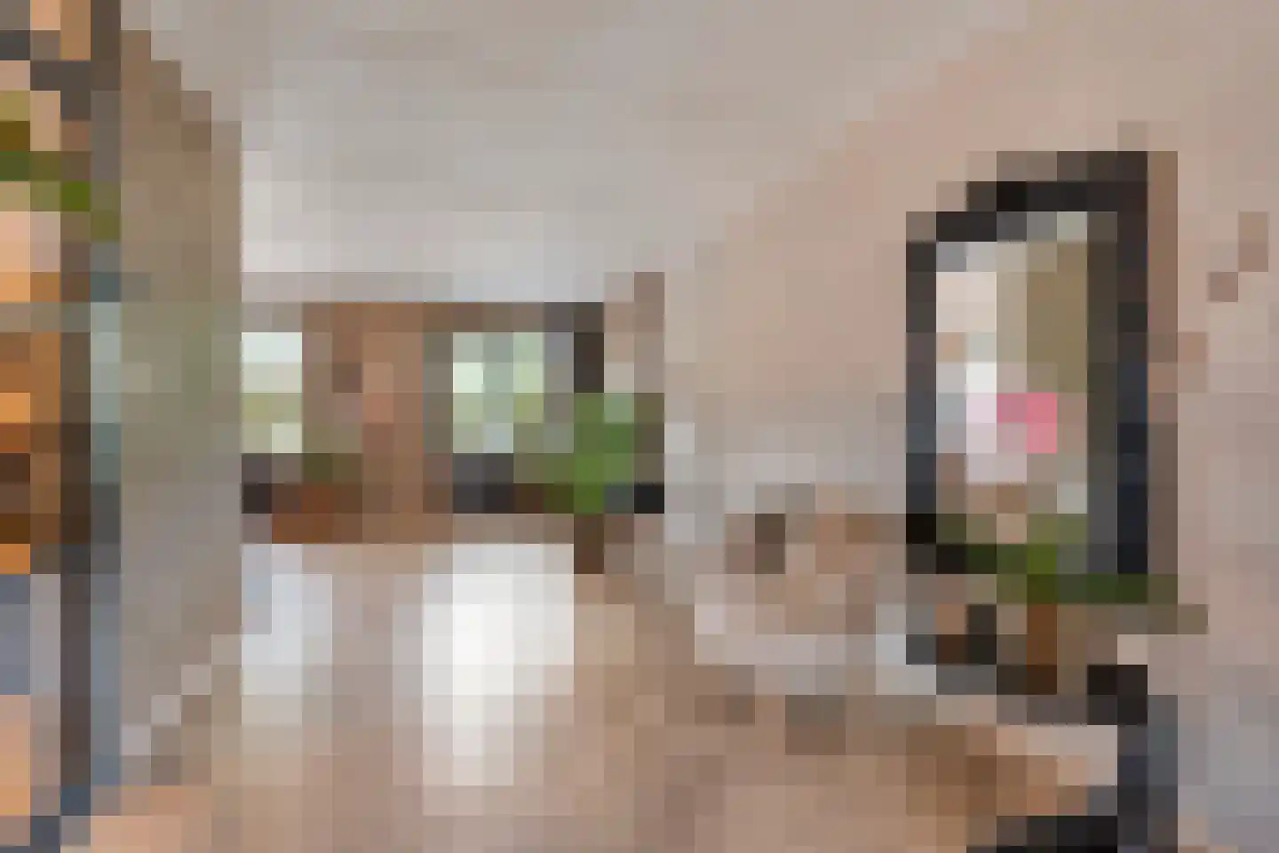 Boskraai 44 Emmen thumbnail 8