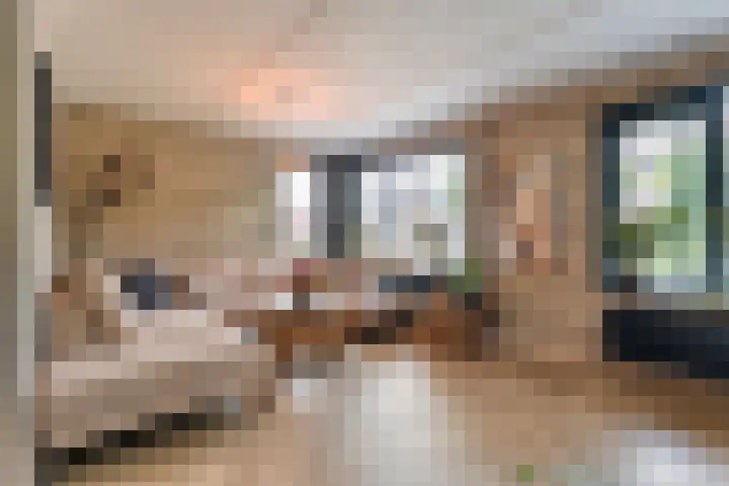 Boskraai 44 Emmen thumbnail 9