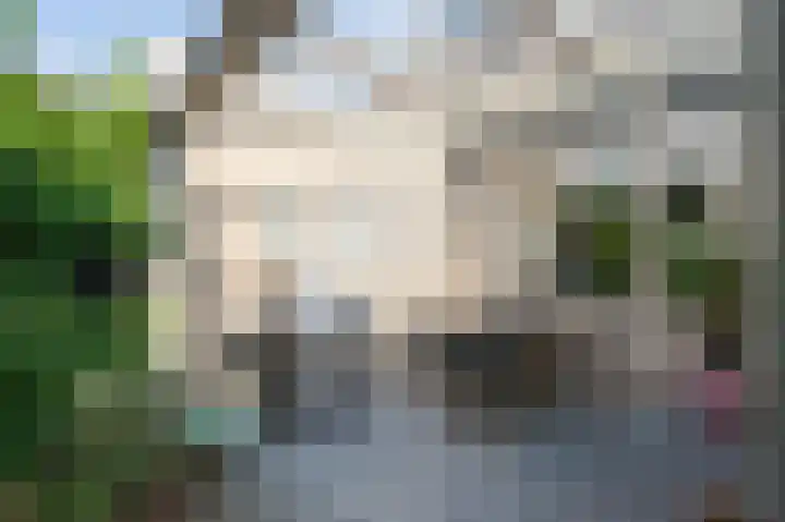 Boskraai 45 Emmen thumbnail 25
