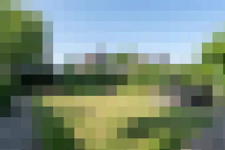 Boskraai 45 Emmen thumbnail 27