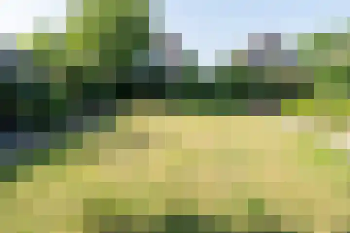 Boskraai 45 Emmen thumbnail 28