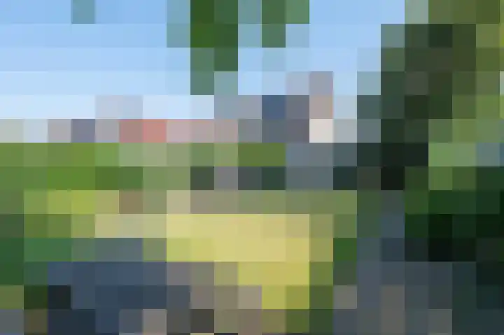 Boskraai 45 Emmen thumbnail 29
