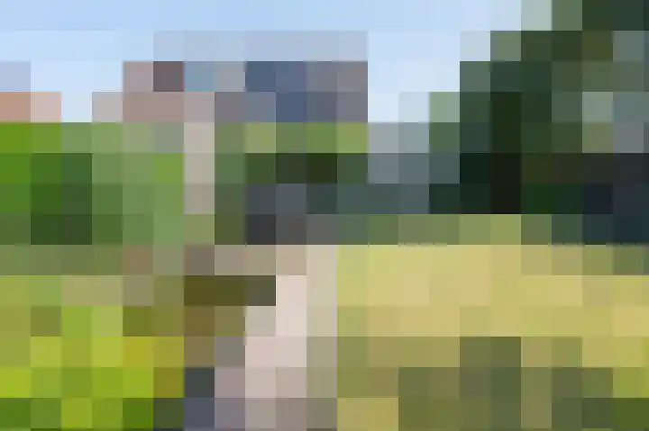 Boskraai 45 Emmen thumbnail 30