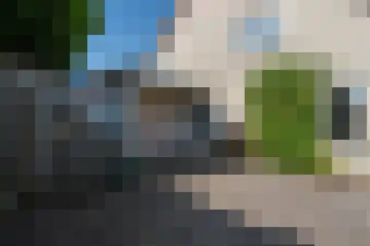 Boskraai 45 Emmen thumbnail 31