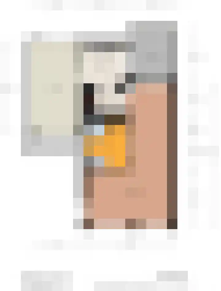 Boskraai 45 Emmen thumbnail 34