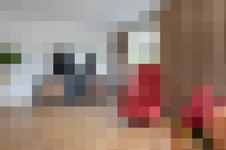 Boskraai 45 Emmen thumbnail 5