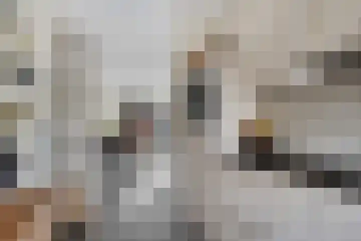 Boskraai 69 Emmen thumbnail 10