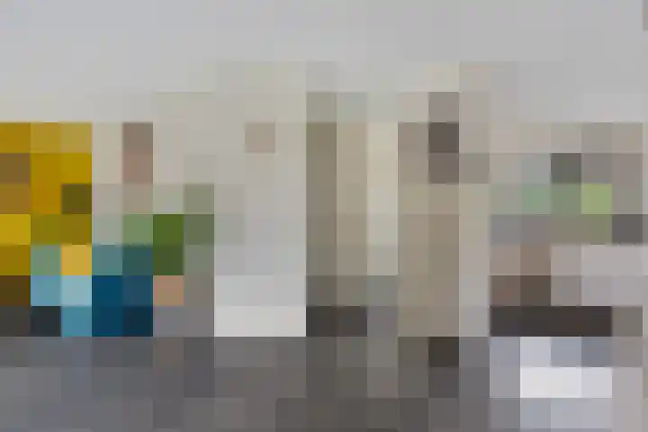 Boskraai 69 Emmen thumbnail 11