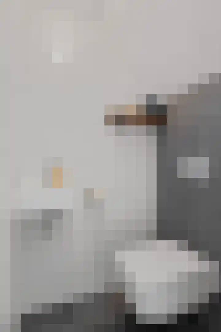 Boskraai 69 Emmen thumbnail 13