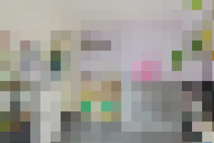 Boskraai 69 Emmen thumbnail 14