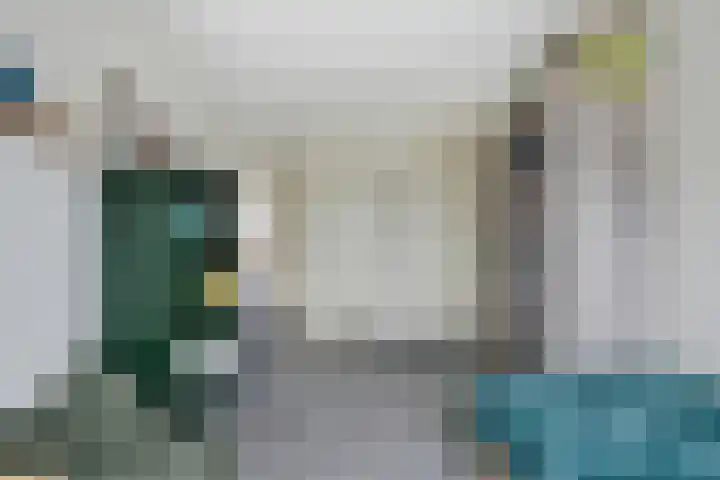Boskraai 69 Emmen thumbnail 21