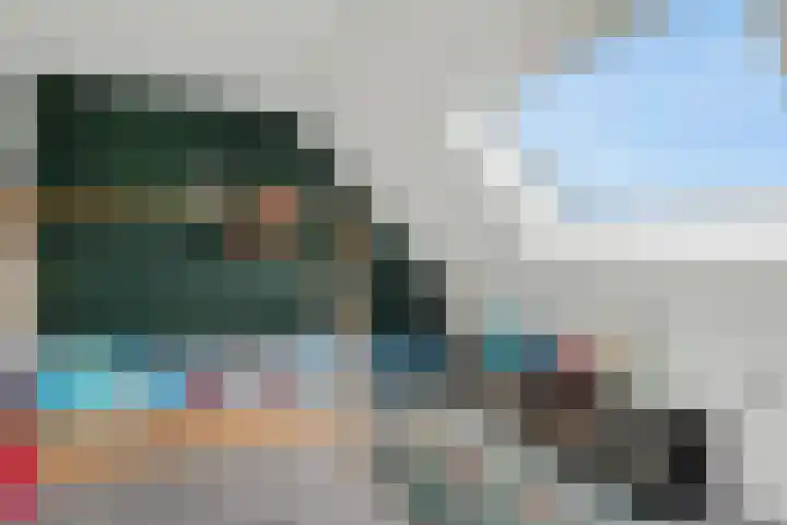 Boskraai 69 Emmen thumbnail 22