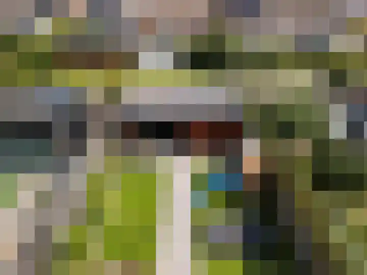 Boskraai 69 Emmen thumbnail 38