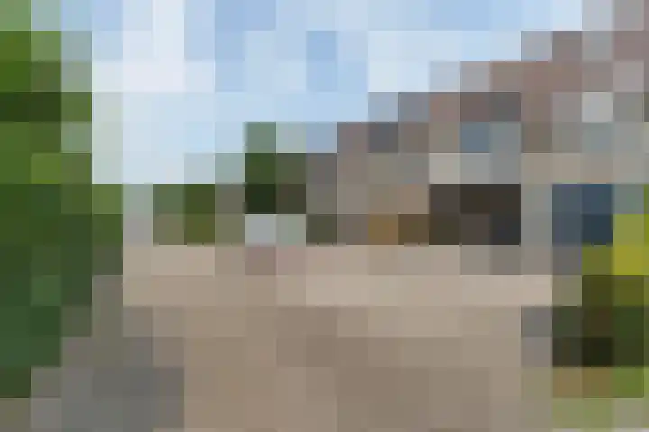 Boskraai 69 Emmen thumbnail 40