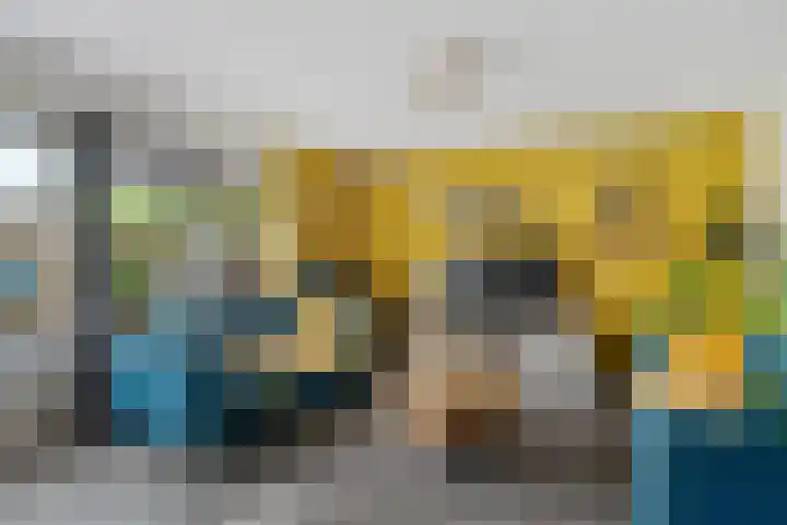 Boskraai 69 Emmen thumbnail 5