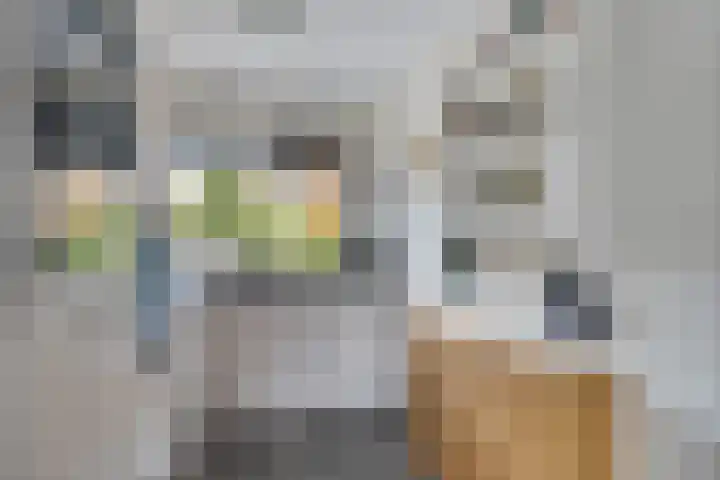 Boskraai 69 Emmen thumbnail 9
