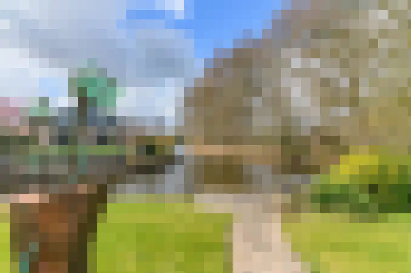Boskreek 5 Heerenveen thumbnail 36