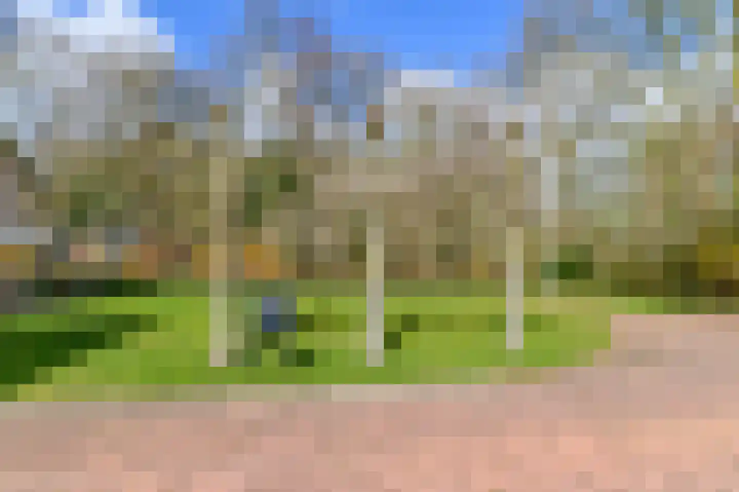 Boskreek 5 Heerenveen thumbnail 41