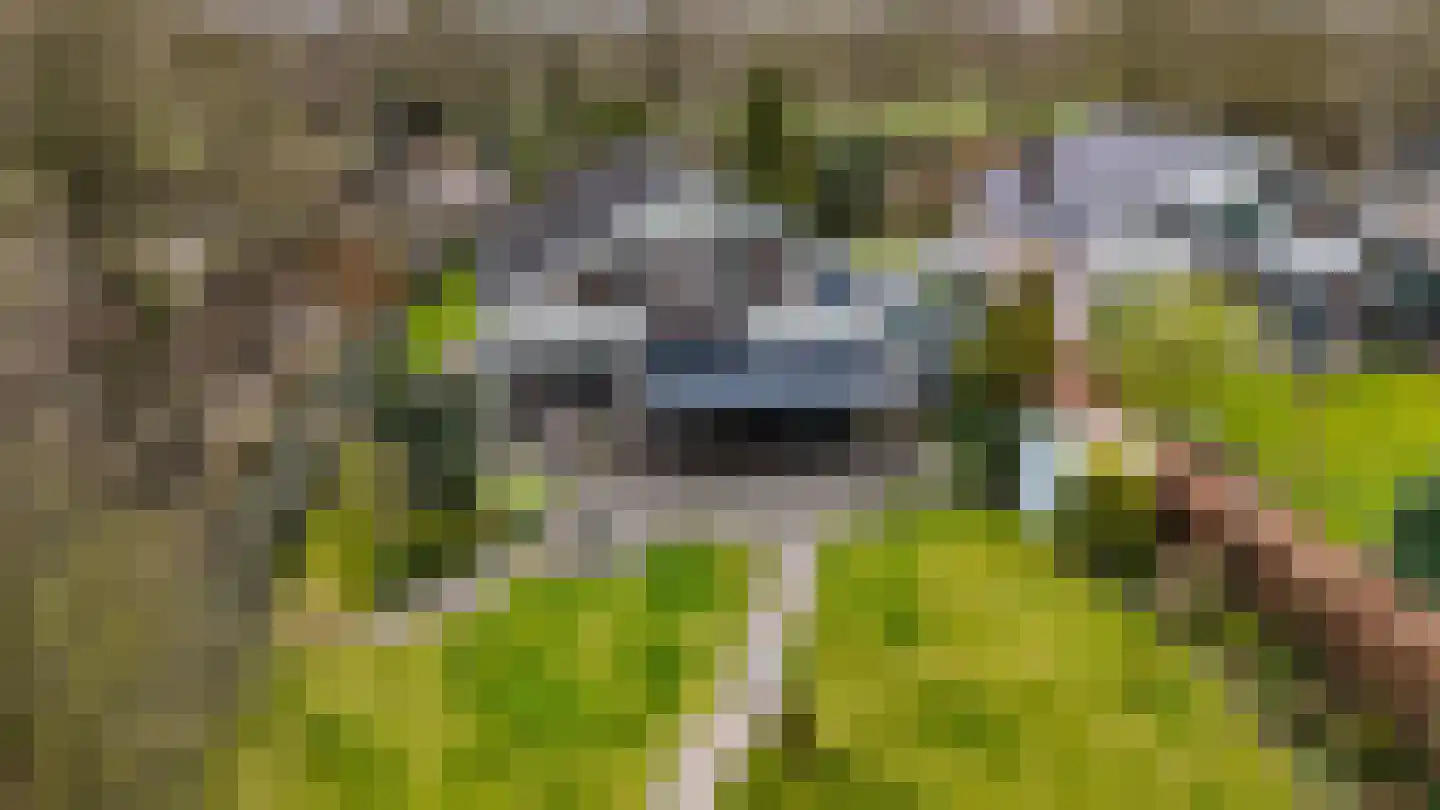 Boskreek 5 Heerenveen thumbnail 43