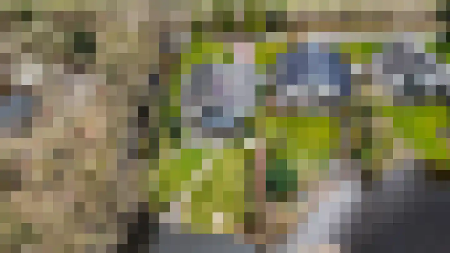 Boskreek 5 Heerenveen thumbnail 44