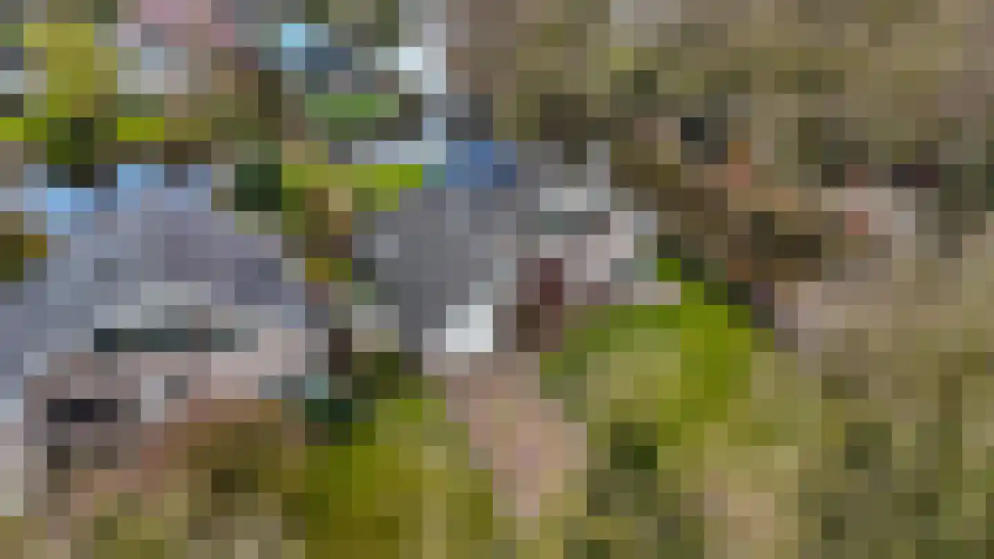 Boskreek 5 Heerenveen thumbnail 46