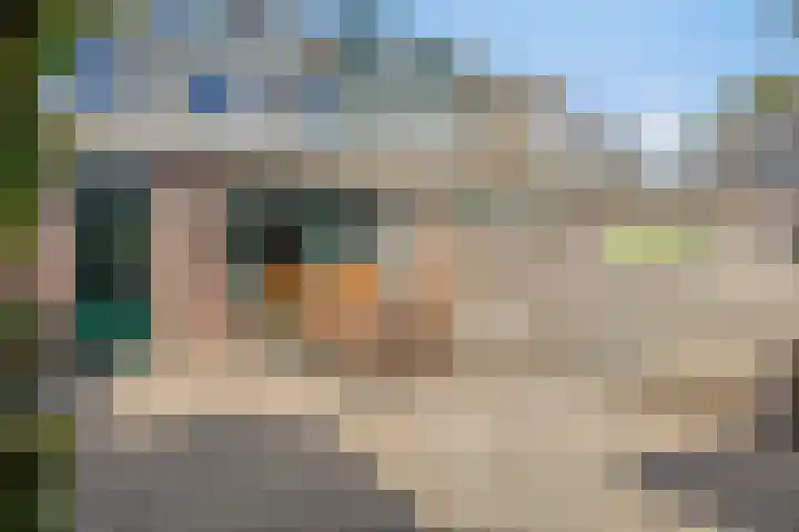 Boskrekel 10 Deventer thumbnail 16