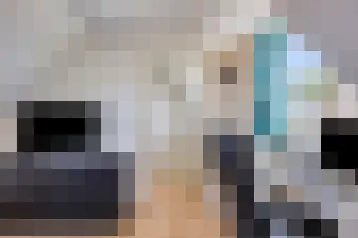 Boskrekel 10 Deventer thumbnail 24