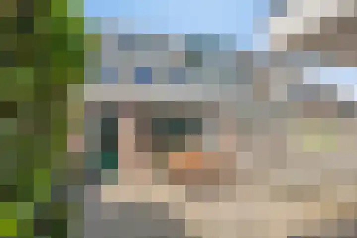 Boskrekel 10 Deventer thumbnail 25