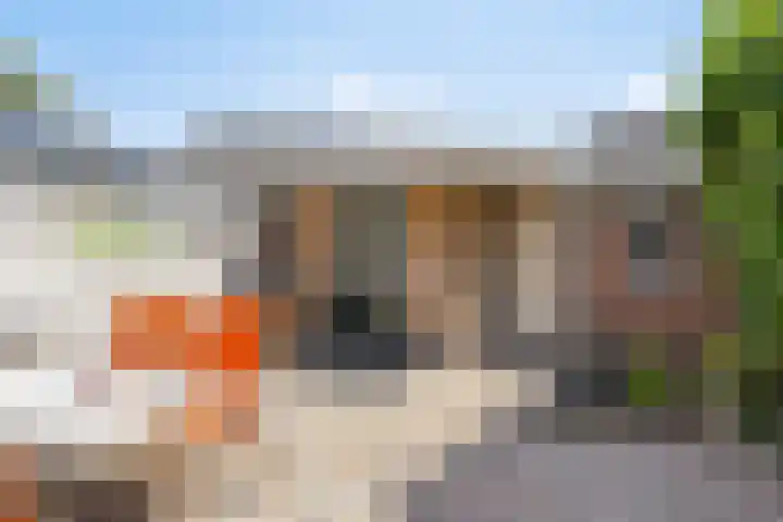 Boskrekel 10 Deventer thumbnail 27