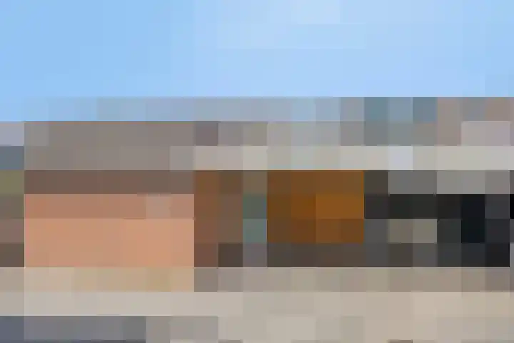 Boskrekel 10 Deventer thumbnail 28
