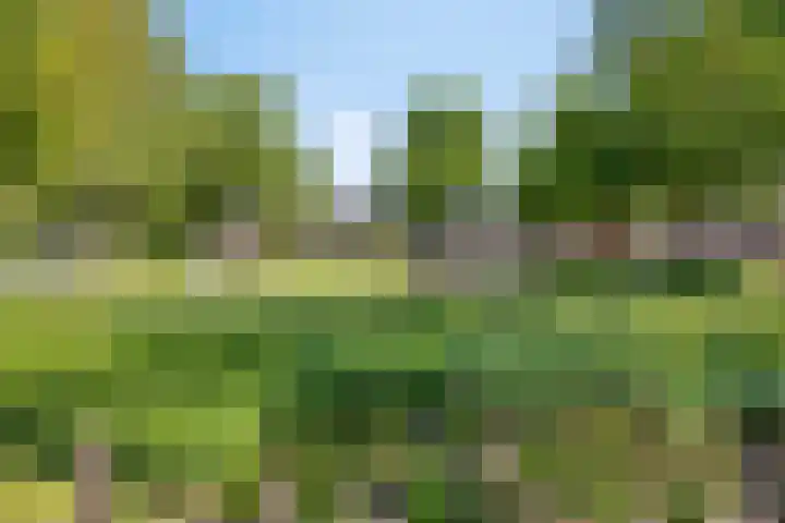 Boskrekel 10 Deventer thumbnail 30