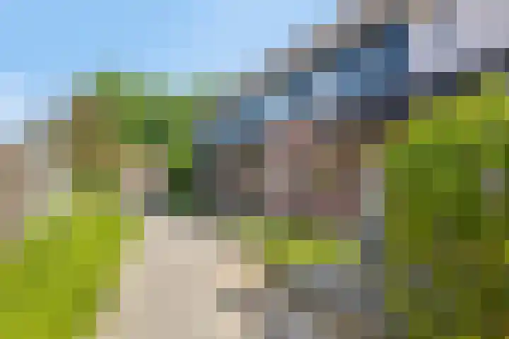 Boskrekel 10 Deventer thumbnail 31