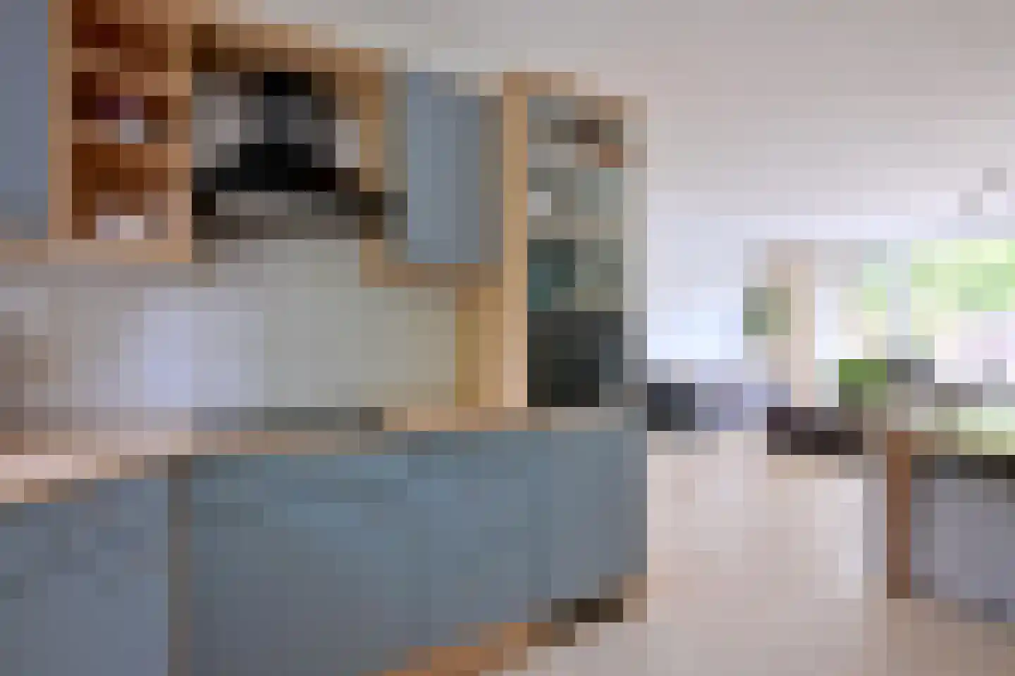 Boskrekel 28 Deventer thumbnail 12