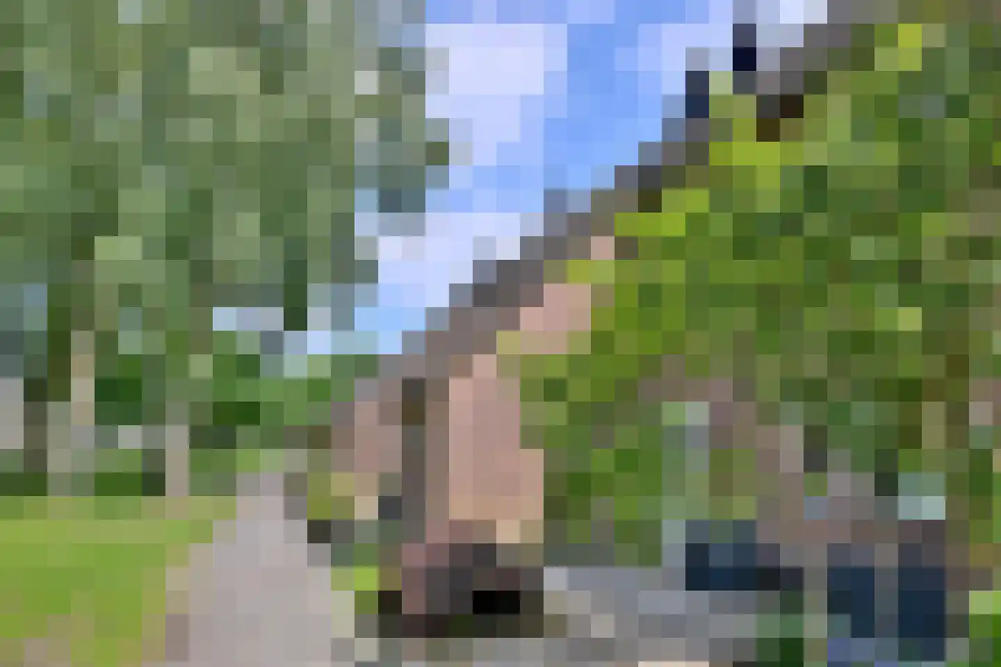Boskrekel 28 Deventer thumbnail 28