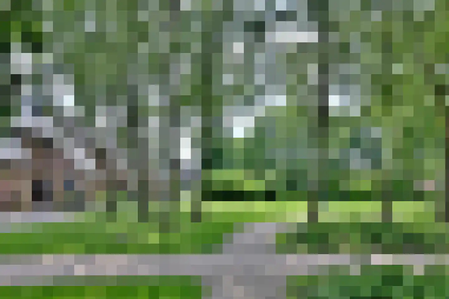 Boskrekel 28 Deventer thumbnail 31