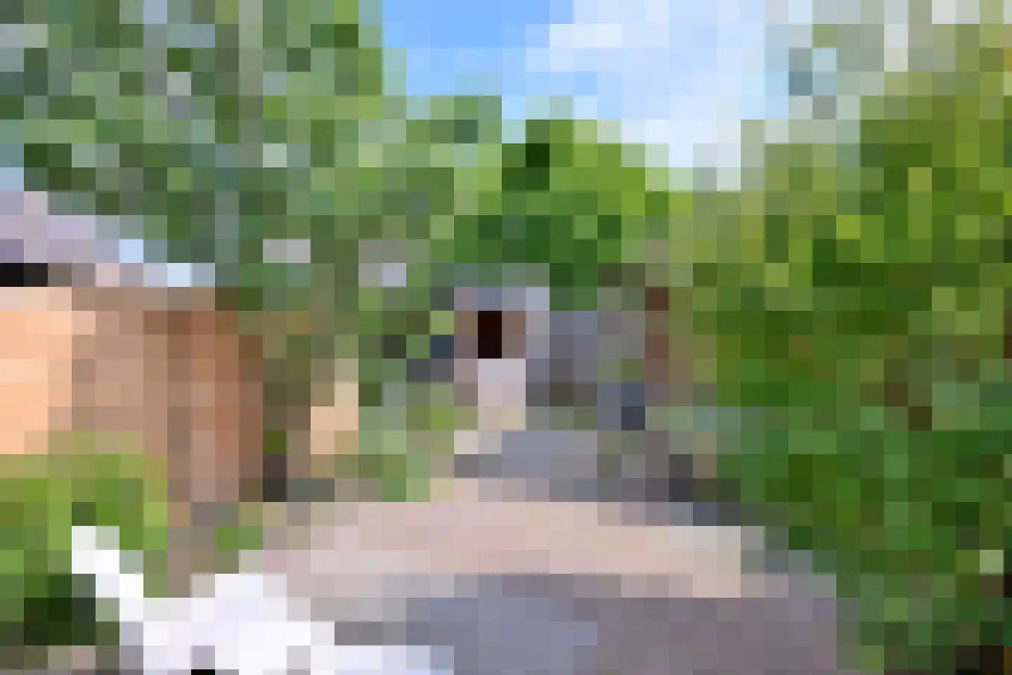 Boskrekel 28 Deventer thumbnail 5