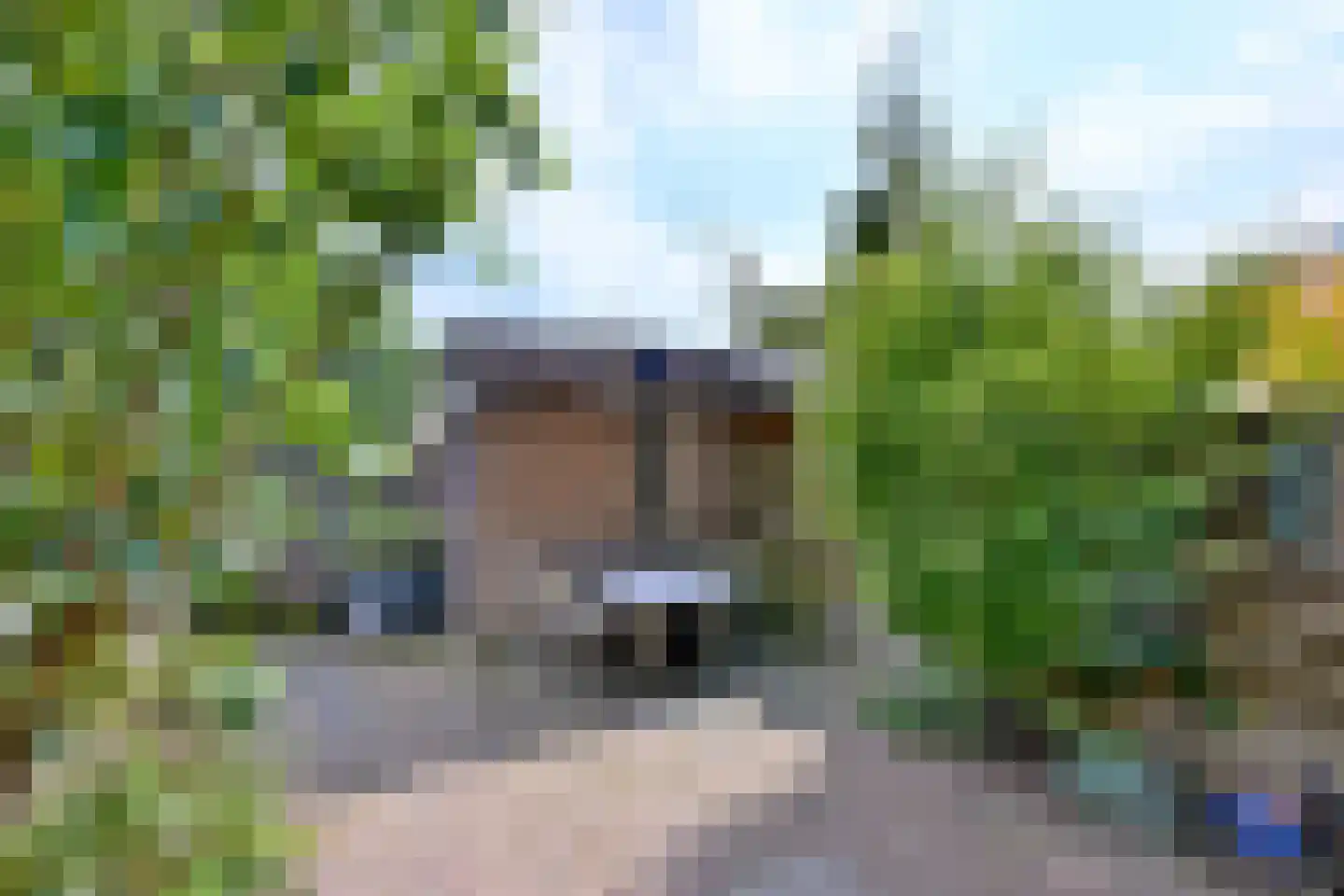 Boskrekel 28 Deventer thumbnail 6