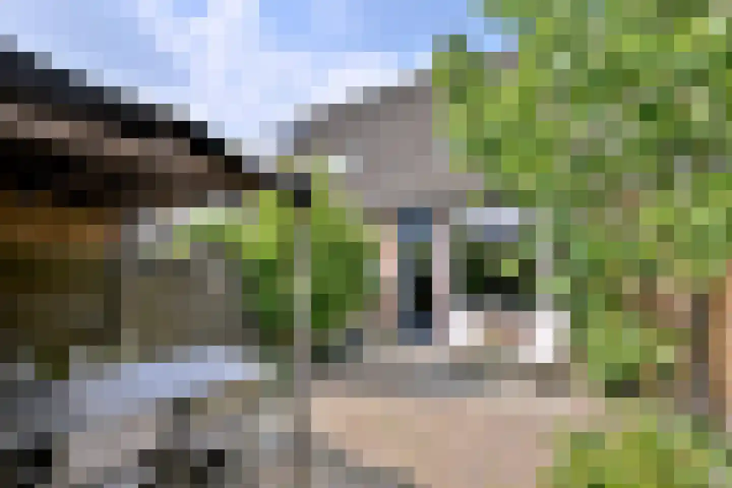 Boskrekel 28 Deventer thumbnail 9
