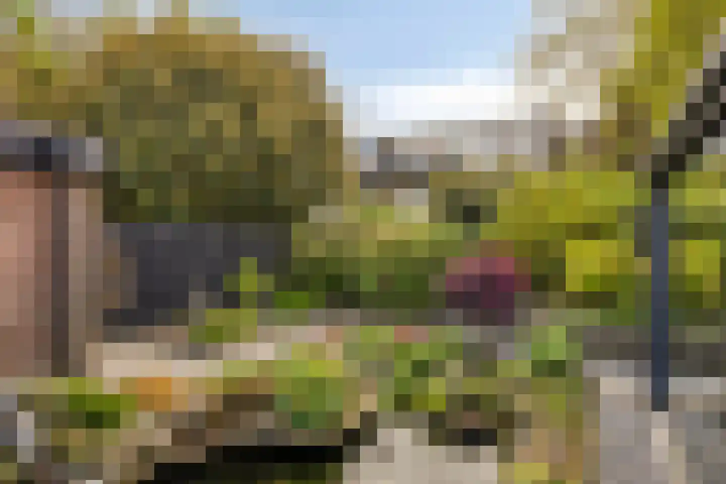 Boskrekel 91 Deventer thumbnail 21