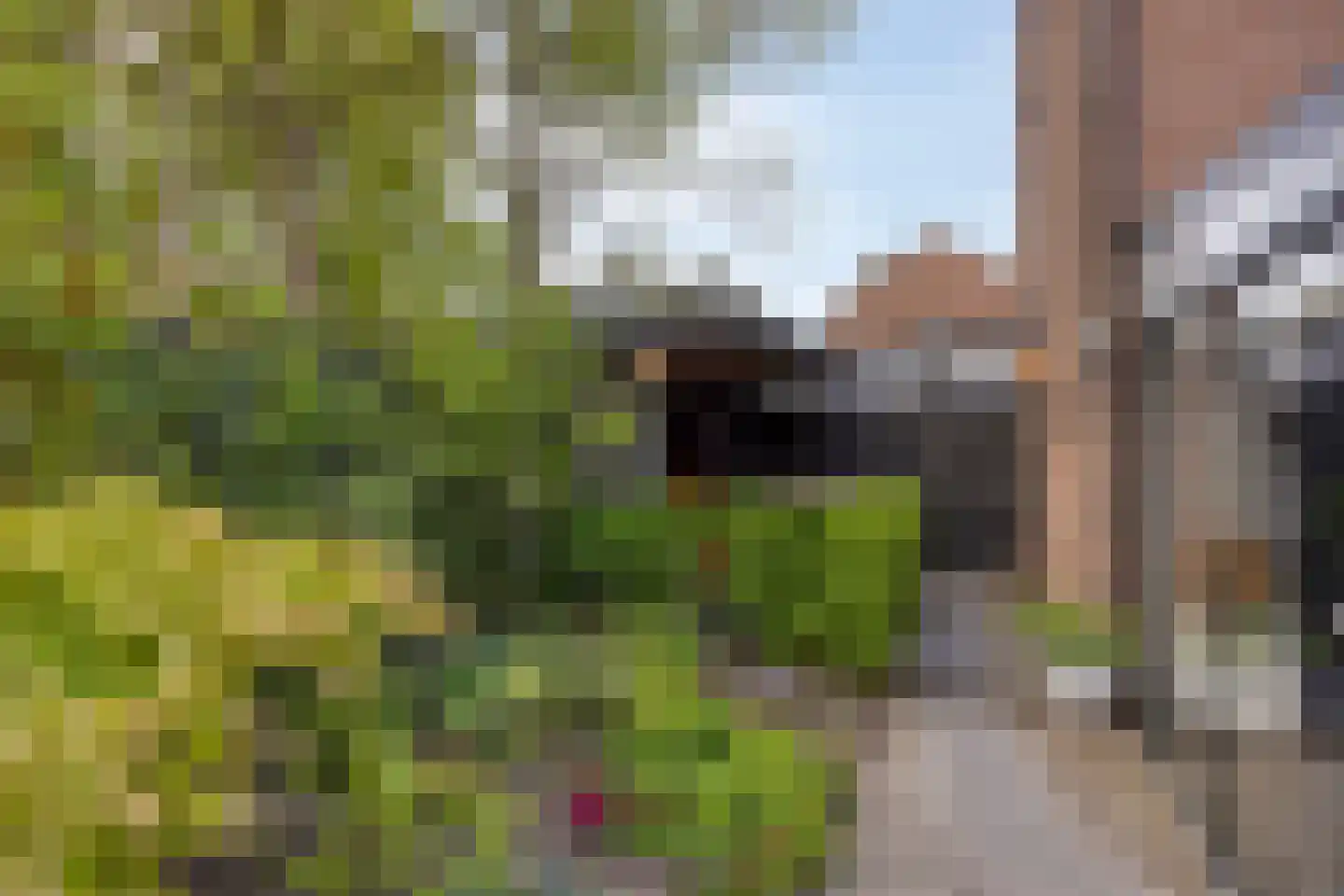 Boskrekel 91 Deventer thumbnail 24