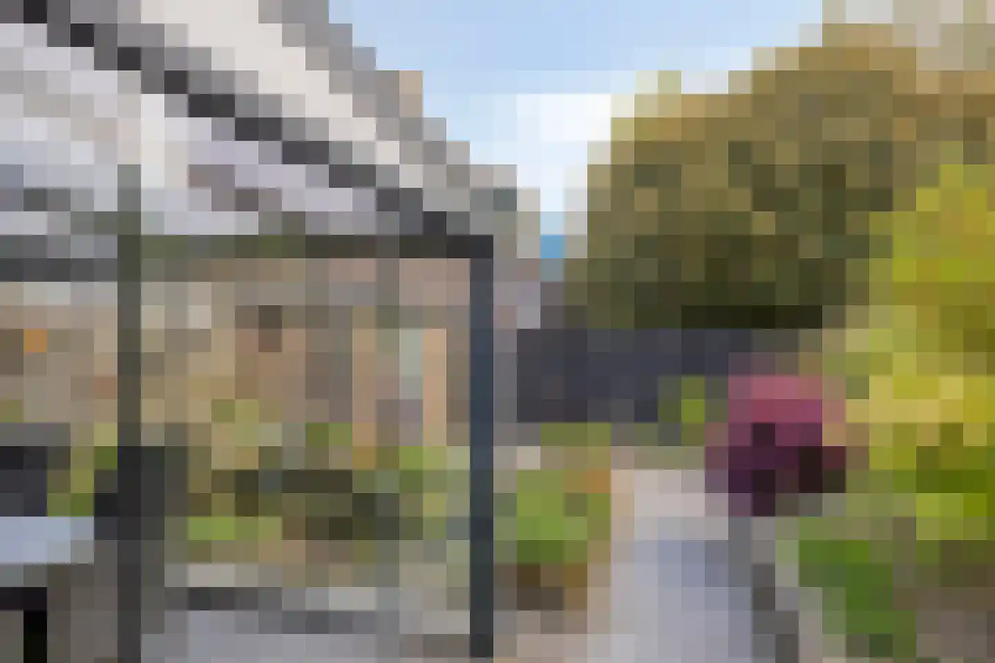 Boskrekel 91 Deventer thumbnail 25